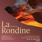 Rondine poster