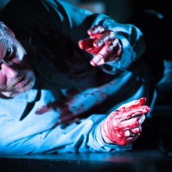 David Stephenson as Macbeth